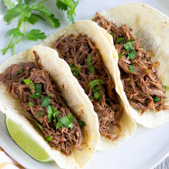 Mexican Shredded Beef