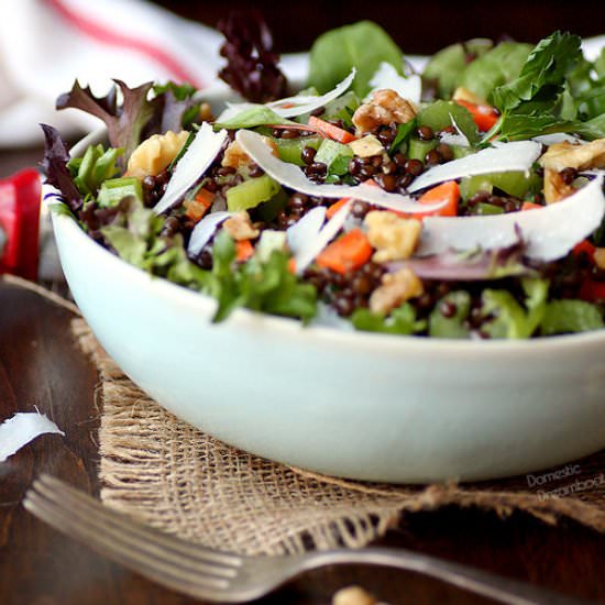 Black Lentil and Celery Salad