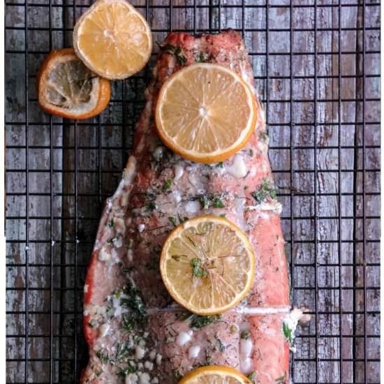Lemon Herb Grilled Salmon