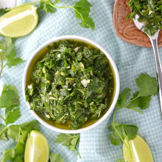 Cilantro Chimichurri Sauce