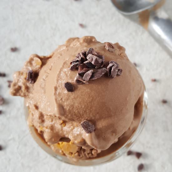 Chocolate Ice Cream with PB Fudge
