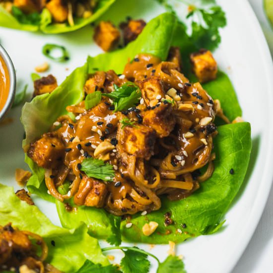 Spicy Peanut Tofu Lettuce Wraps