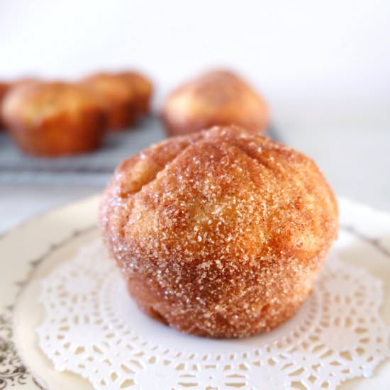 Cinnamon Sugar Breakfast Puffs
