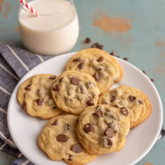 Small Batch Chocolate Chip Cookies