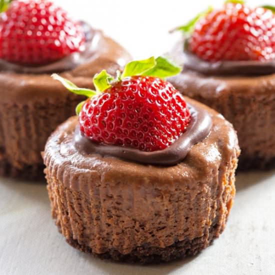 Mini Chocolate Cheesecakes