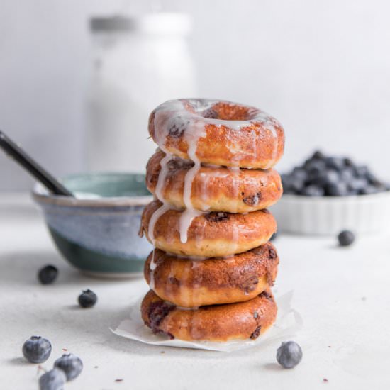 Whole Wheat Blueberry Chip Donuts