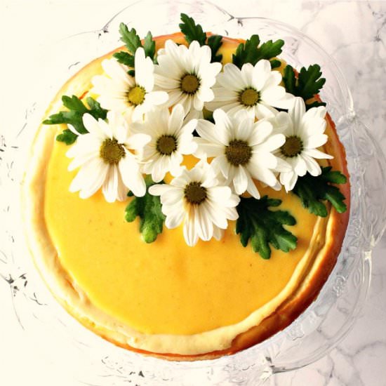 Lemon Cheesecake with Lemon Curd