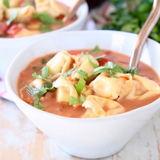 Vegetarian Tortellini Soup