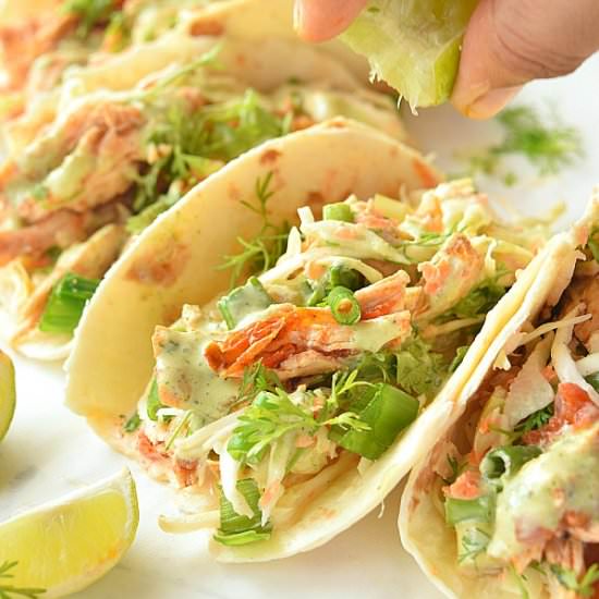 Shredded Chicken Taco