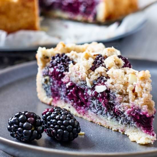 Blackberry Poppy Seed Crumb Cake