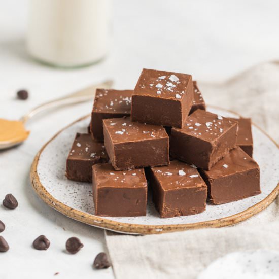 Vegan Chocolate Peanut Butter Fudge
