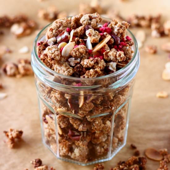 Gluten-Free Vegan Granola