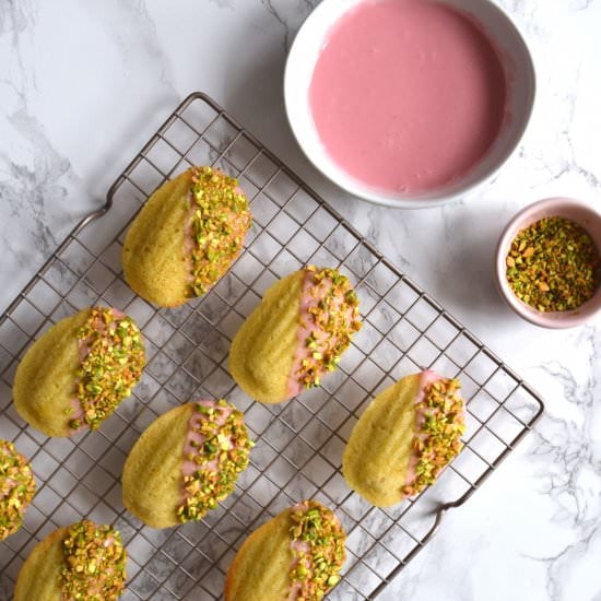 Blood Orange Madeleines