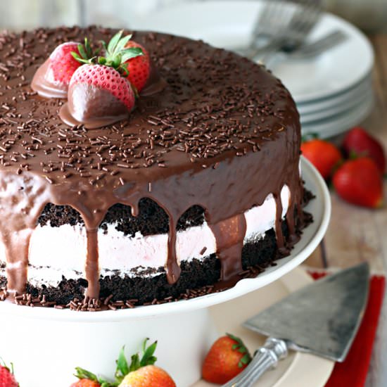Chocolate Strawberry Ice Cream Cake