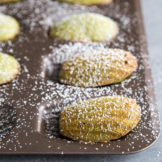 Matcha Madeleines