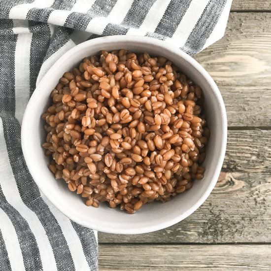 Instant Pot Wheat Berries