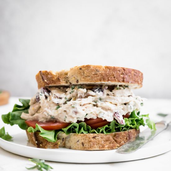 Paleo Cranberry Chicken Salad