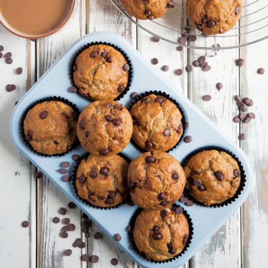 Chocolate Chip Muffins