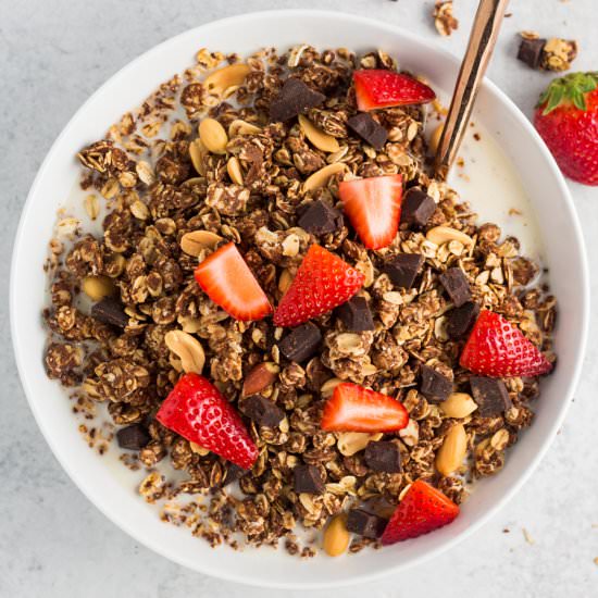 Chocolate Peanut Butter Granola
