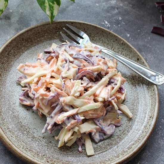 Colorful coleslaw