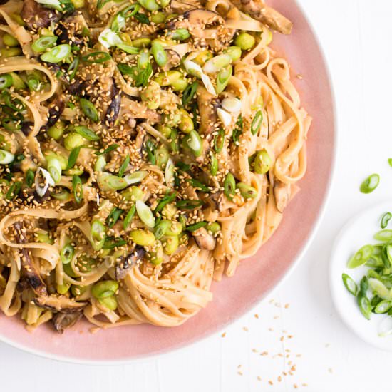 Creamy Peanut Noodles with Miso