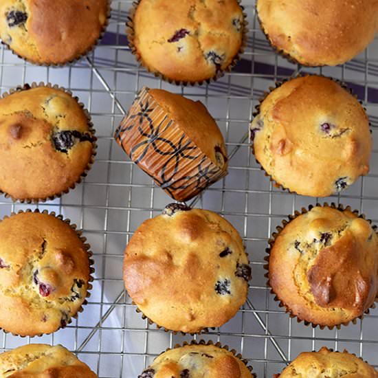 Olive Oil Blueberry Walnut Muffin