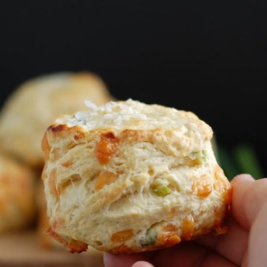 Irish Cheddar Cheese Scones