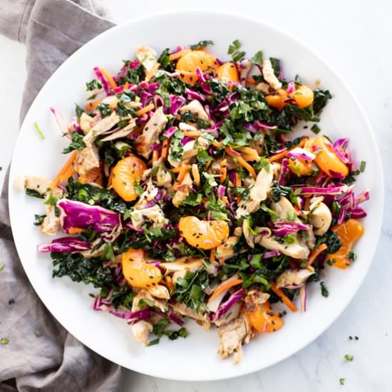 Low FODMAP Chinese Chicken Salad