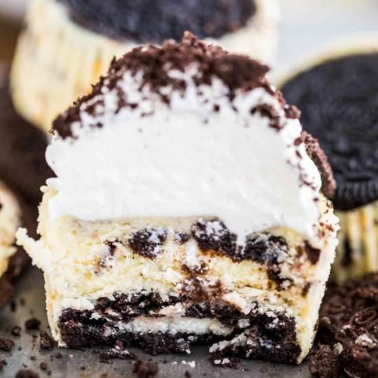 Mini Oreo Cheesecakes