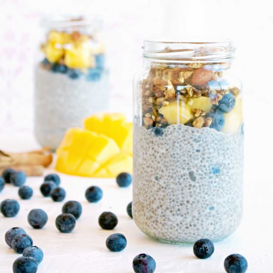 Mango & Blueberry Chia Pot