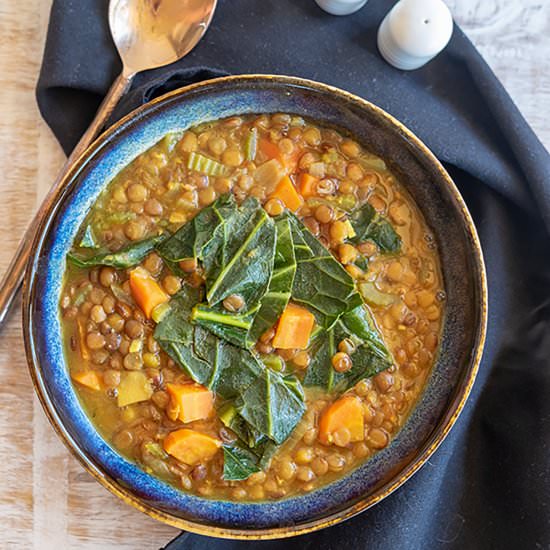 Instant Pot Mediterranean Lentil &