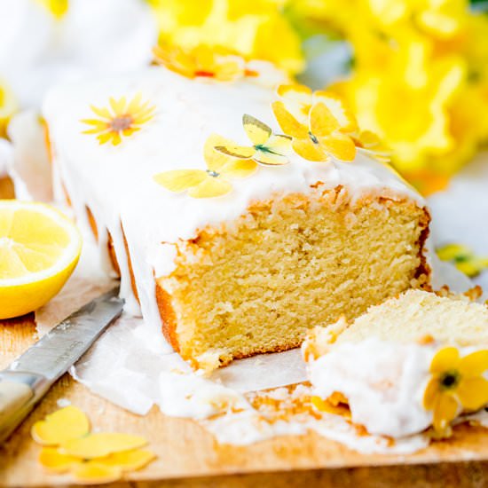 Vegan lemon drizzle cake