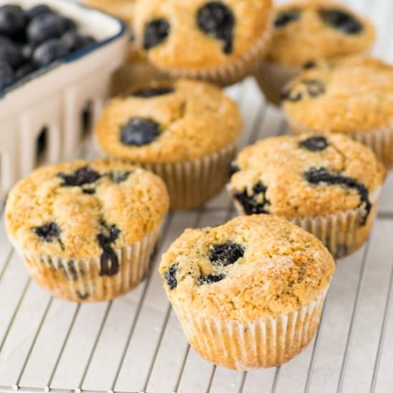 1 Bowl Vegan GF Blueberry Muffins