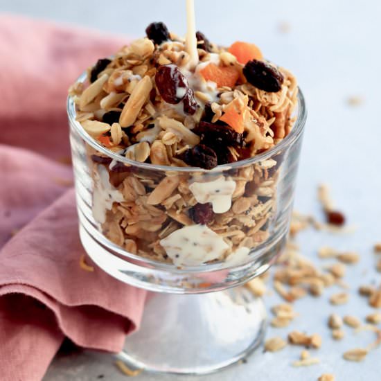 easy fruit & nut granola