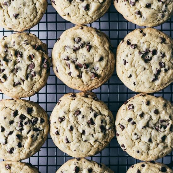 Olive Oil Chocolate Chip Cookie