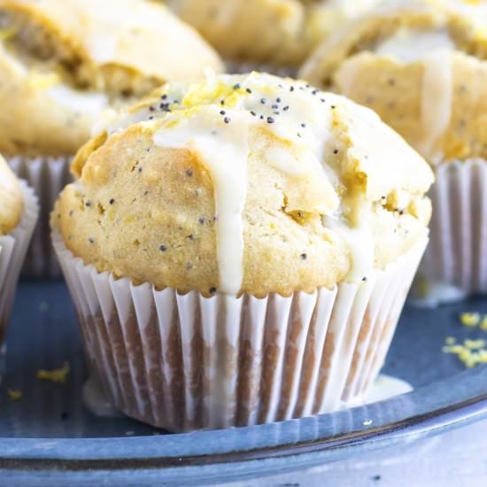 Lemon Poppy Seed Muffins