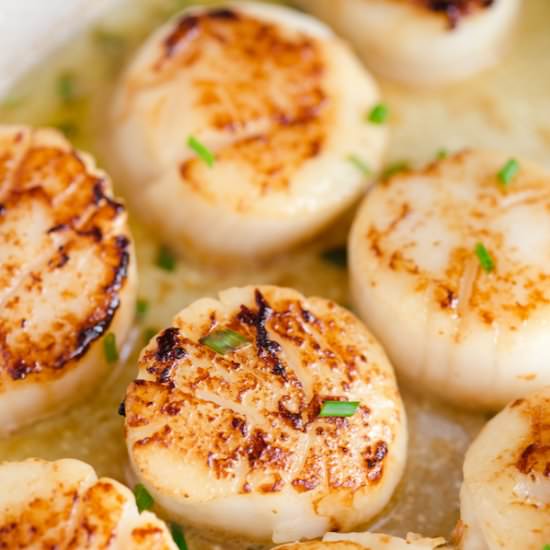 Garlic Butter Scallops