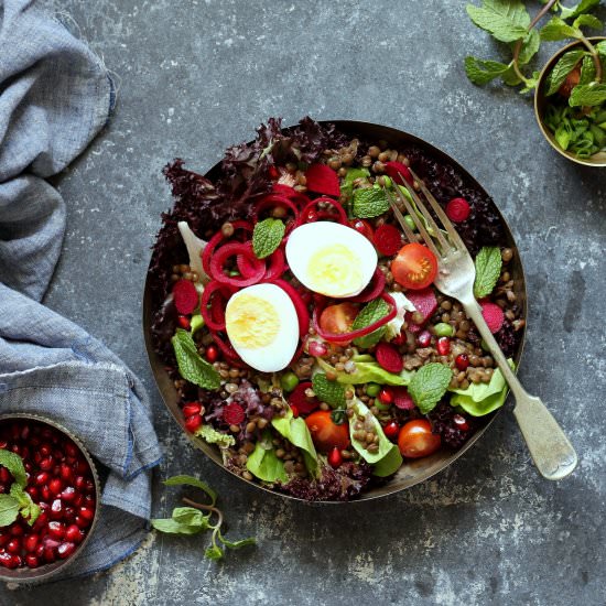 puy lentil salad