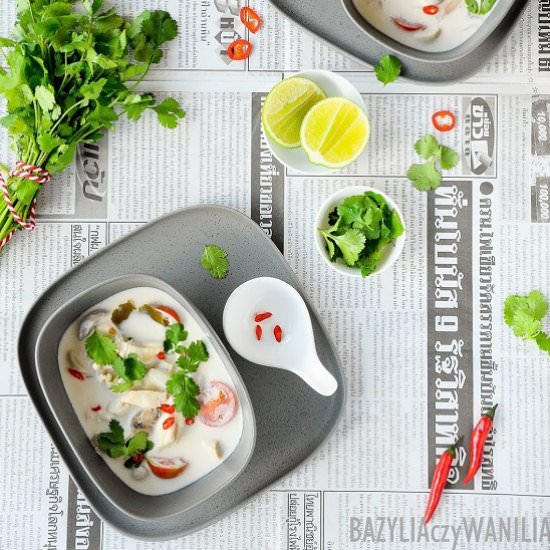 Thai chicken soup