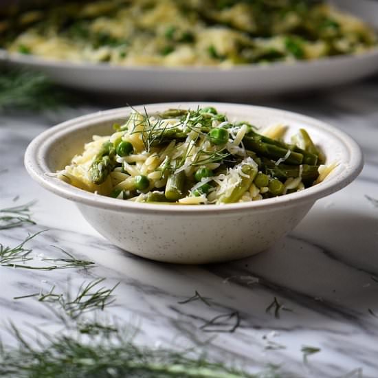 Orzo Risotto