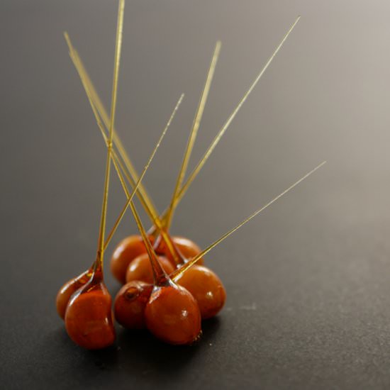 Caramelized hazelnuts