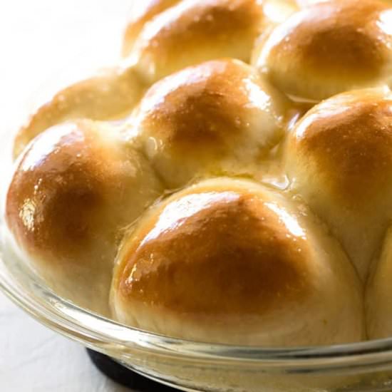 Homemade Dinner Rolls