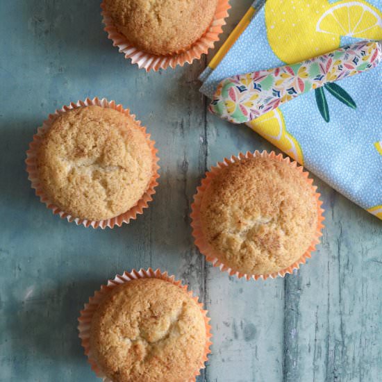 Spiced Mango Muffins