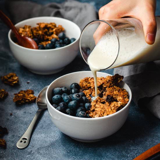 Oatmeal Cookie Granola (Oil-Free)