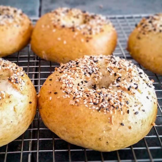 NY Bagels