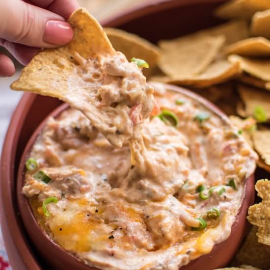 Mexican Shredded Chicken Dip
