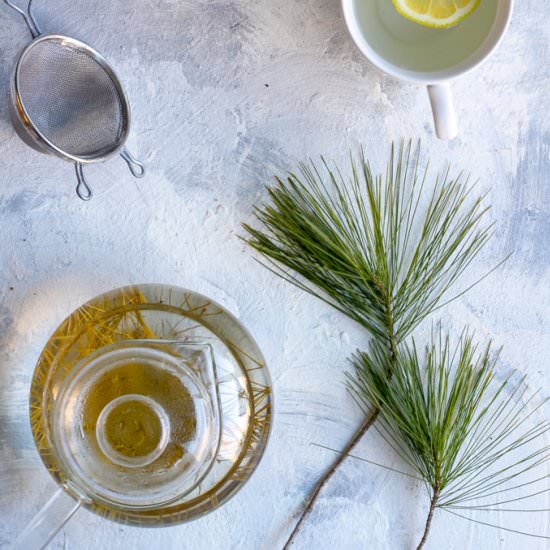 Pine Needle Tea
