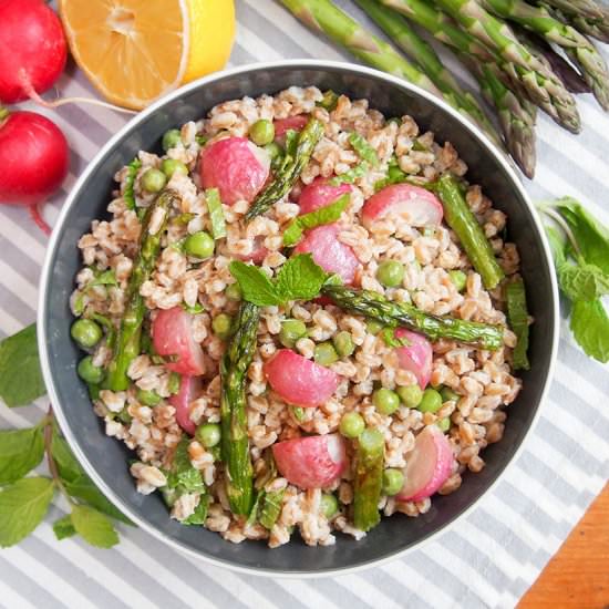 Roast spring vegetable farro salad