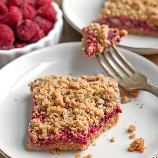 Paleo SunButter Raspberry Crumb Bar