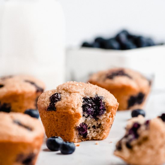 Greek Yogurt Blueberry muffins